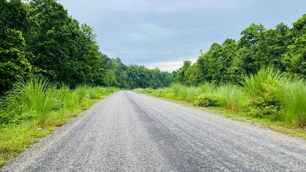 My Surroundings – Shuklaphanta National Park