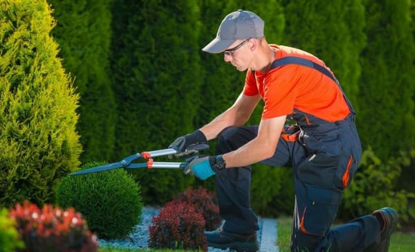 Affordable gardening services in Kathmandu – Cost & Packages